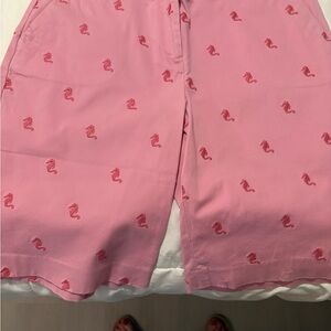 Talbots Vibrant Pink Apparel. Shorts